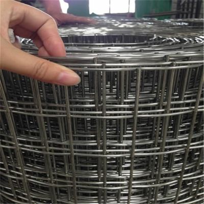 Rust Proof Galvanized 50*50mm Welded Wire Mesh Fence 1/4 Inch Hole Square Steel Weld Mesh oleh Produsen Harga Grosir
