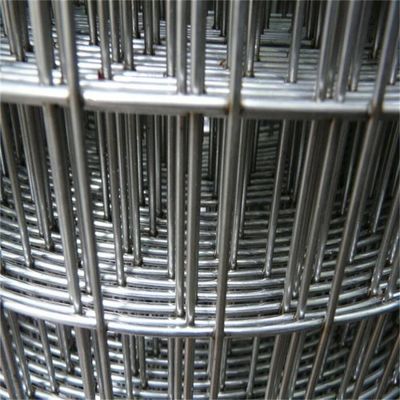 Disesuaikan 4ftx50ft Galvanized Welded Wire Mesh Ayam Burung Kandang Wire Mesh
