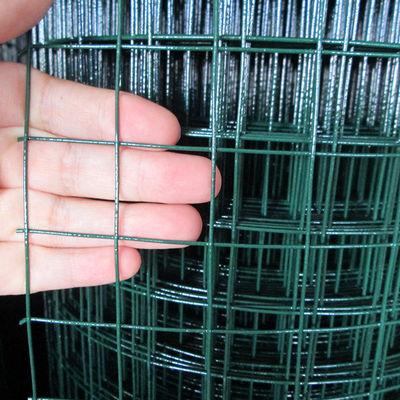 Galvanized Welded Roll Mesh Fence Wire Wire Low Carbon Coated Galvanized Wire Mesh