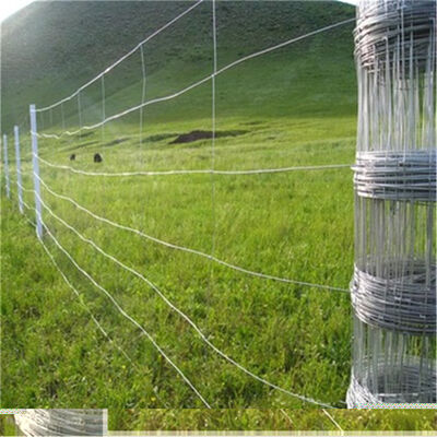 Pagar Modern Wire Mesh Besi Tahan Lama Galvanis untuk Pekarangan dan Peternakan Ternak dengan Rangka Logam