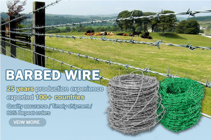 Tahan karat Hot Galvanized Razor Wire 2.5mm Concertina Wire Mesh 0