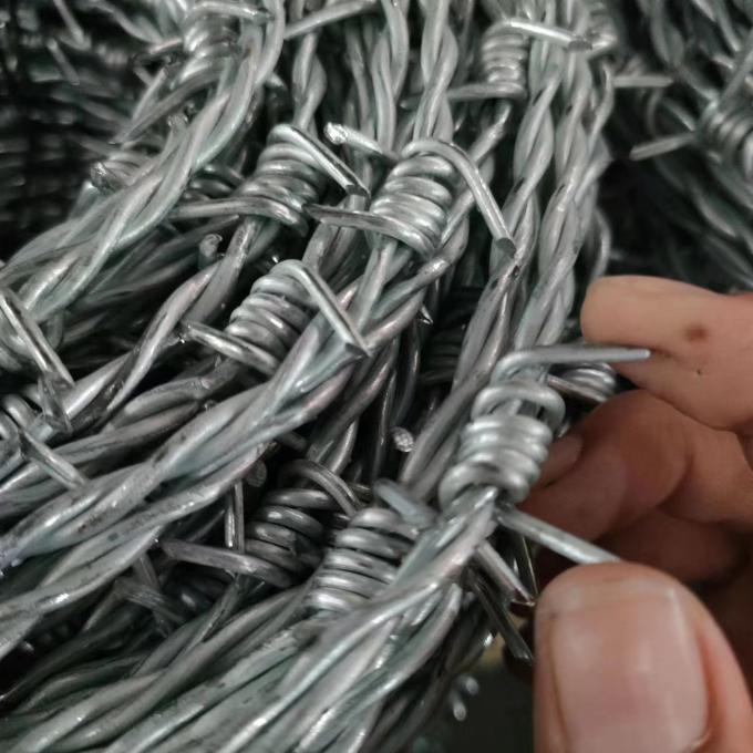 Tahan karat Hot Galvanized Razor Wire 2.5mm Concertina Wire Mesh 5