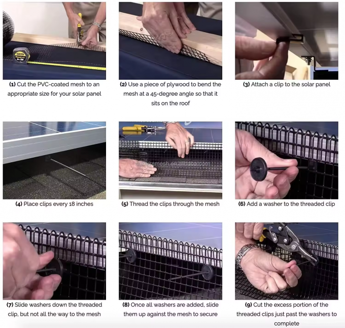 Pagar Kawat Dilas Dilapisi PVC Hitam Persegi 1/2 Wire Mesh Dilas Galvanis dalam Gulungan 7