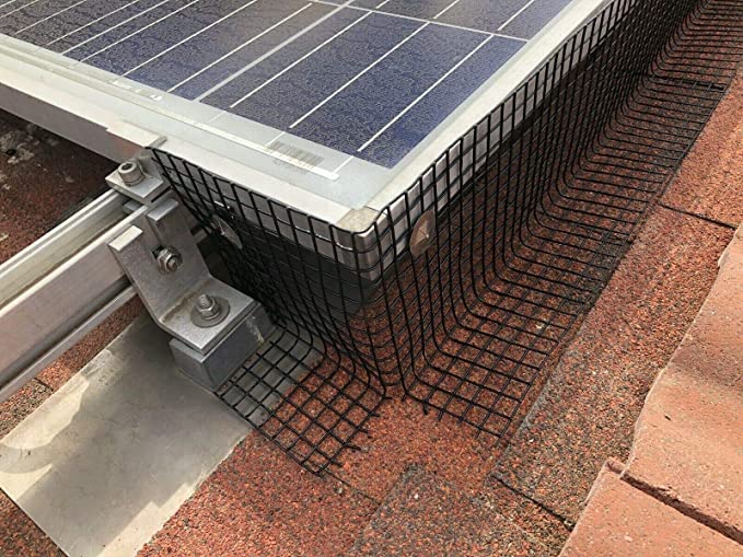Pagar Kawat Dilas Dilapisi PVC Hitam Persegi 1/2 Wire Mesh Dilas Galvanis dalam Gulungan 9