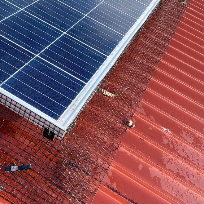 Pagar Kawat Dilas Dilapisi PVC Hitam Persegi 1/2 Wire Mesh Dilas Galvanis dalam Gulungan 10